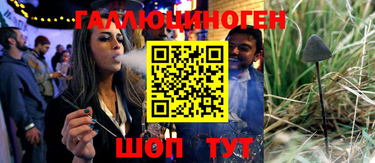 Псилоцибиновые грибы ЛСД Берёзовский