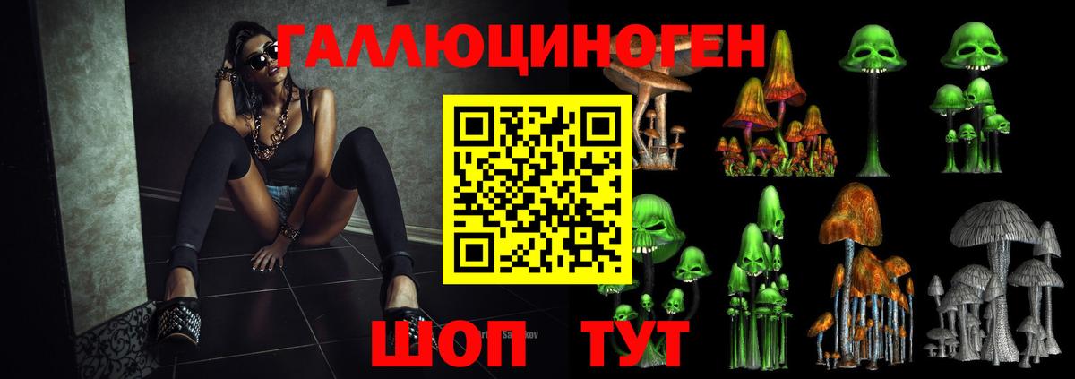цены наркотик  Берёзовский  Псилоцибиновые грибы MAGIC MUSHROOMS  Псилоцибиновые грибы Psilocybine cubensis 