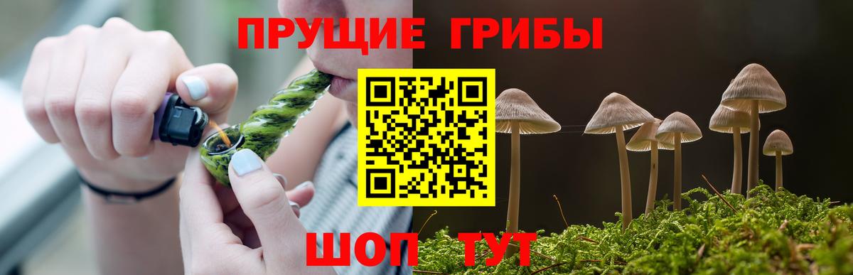 Берёзовский  Псилоцибиновые грибы Cubensis  Галлюциногенные грибы ЛСД  Вход с VPN 